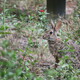 Illustration for article titled Spring has sprung: A Xyl0 photo gallery